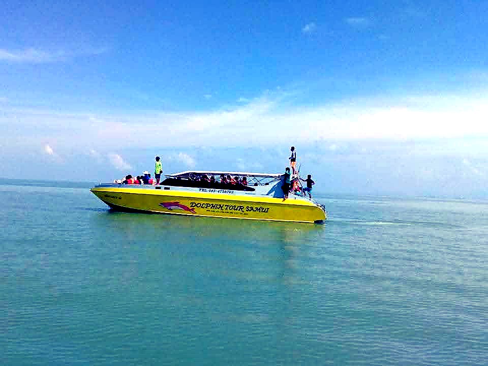 Dolphin Tour Samui boat
